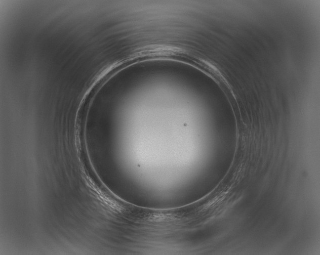 X0000054420835200507291247