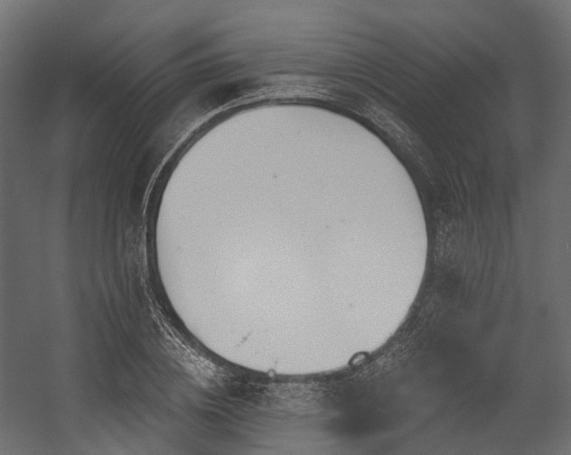 X0000054420836200507291247