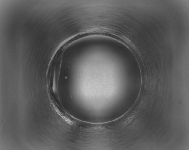 X0000054420838200507291247