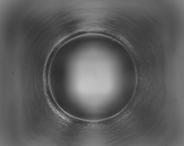 X0000054420840200507291247