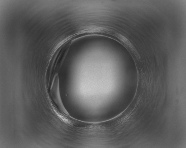 X0000054420842200507291247