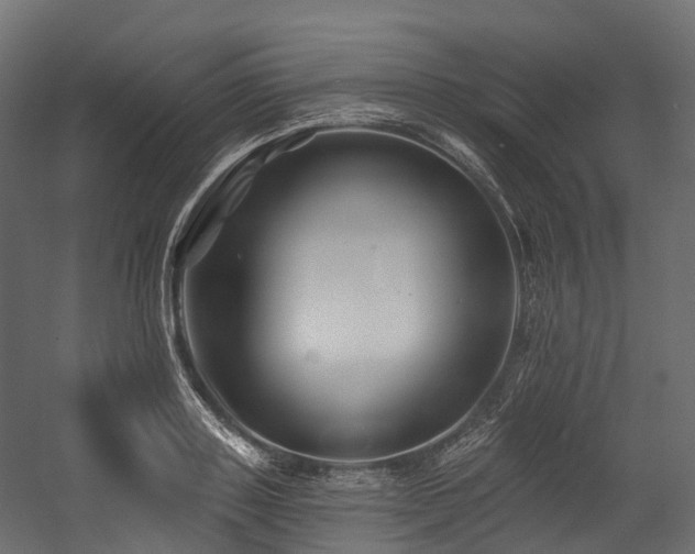 X0000054420843200507291247