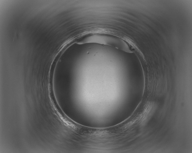 X0000054420845200507291247