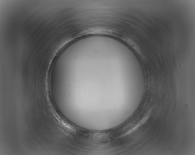 X0000054420848200507291247