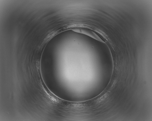 X0000054420849200507291247