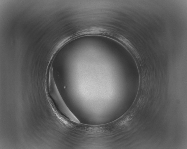 X0000054420850200507291247