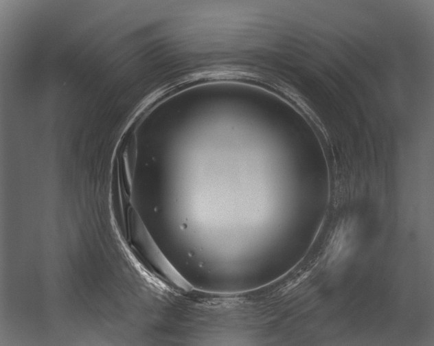 X0000054420853200507291247