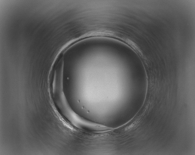 X0000054420854200507291247