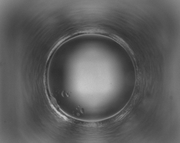 X0000054420855200507291247