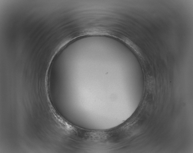 X0000054420856200507291247