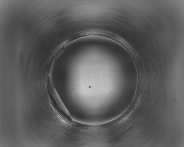 X0000054420857200507291247