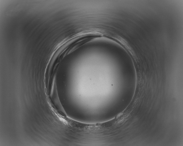 X0000054420858200507291247