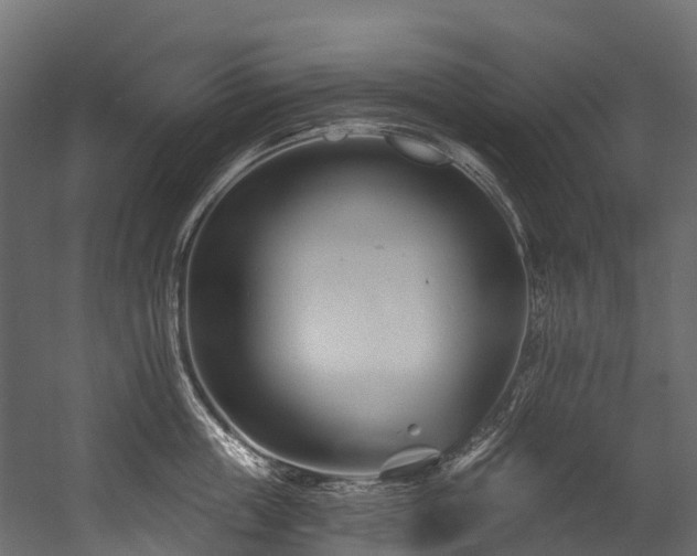 X0000054420859200507291247