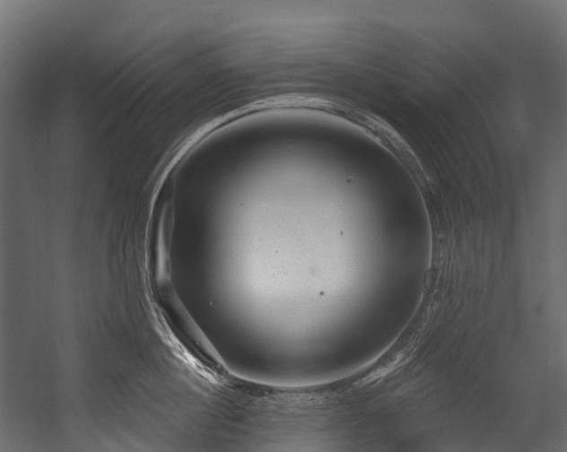 X0000054420860200507291247