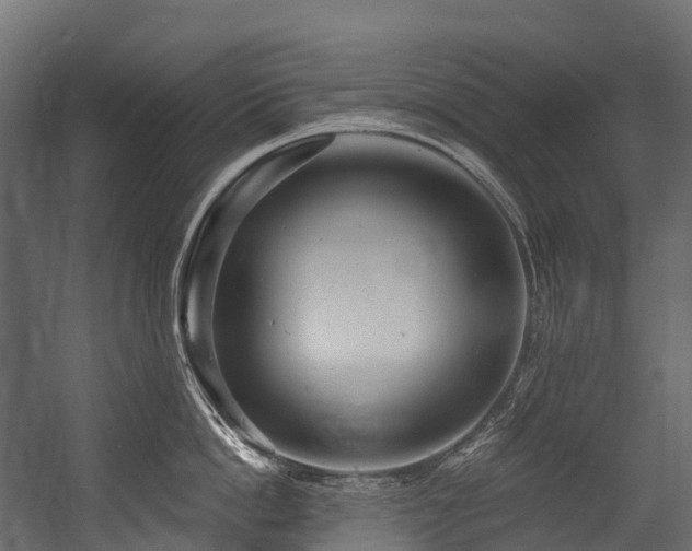 X0000054420862200507291247