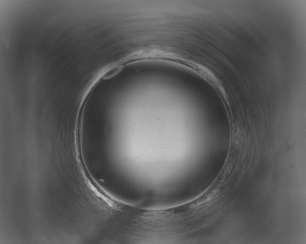 X0000054420863200507291247