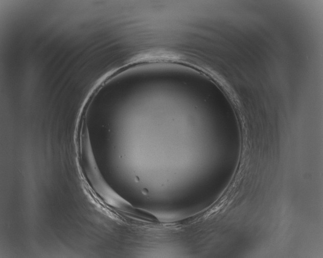 X0000054420864200507291247