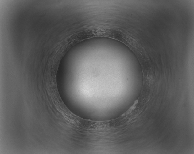 X0000054420865200507291246