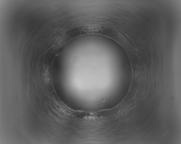 X0000054420866200507291246