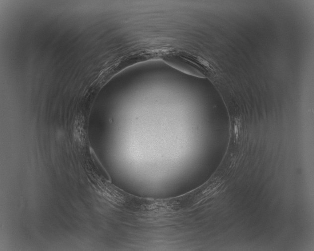 X0000054420867200507291246