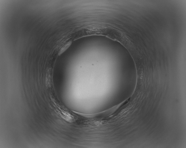 X0000054420868200507291246