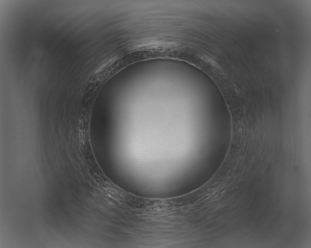 X0000054420869200507291246