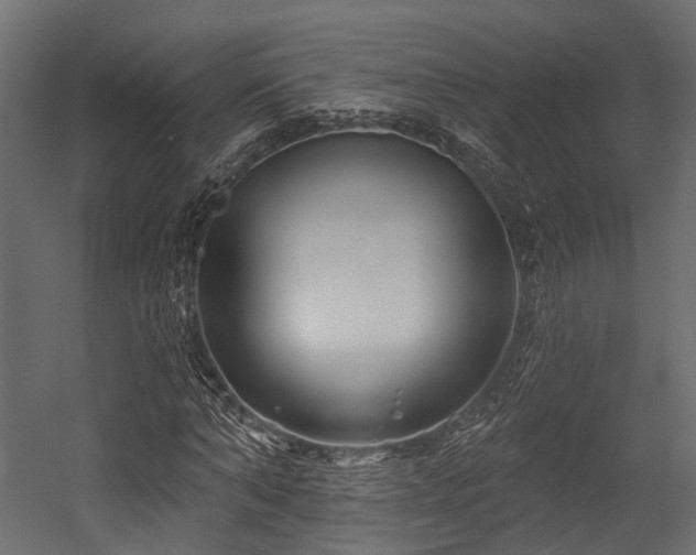 X0000054420870200507291246