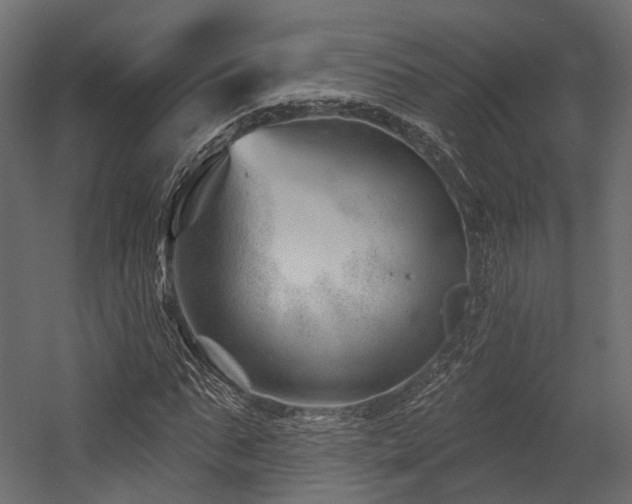 X0000054420871200507291246