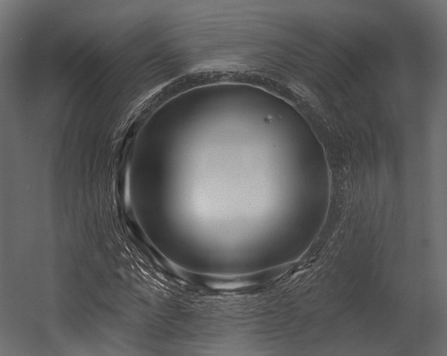 X0000054420872200507291246