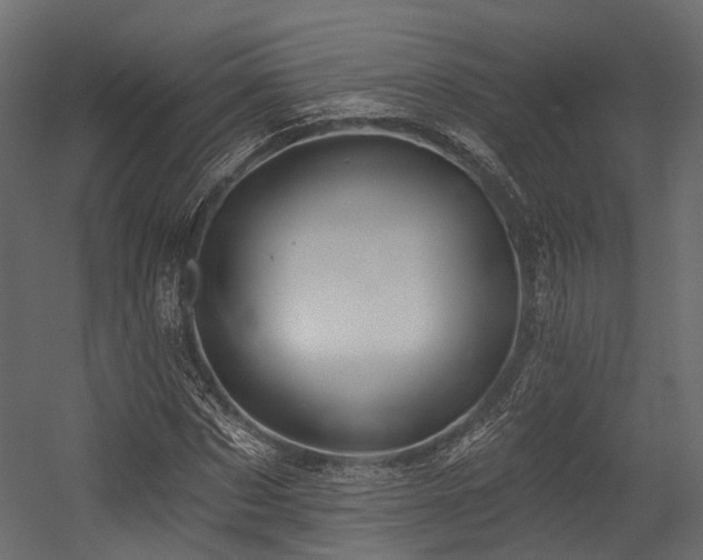 X0000054420873200507291246