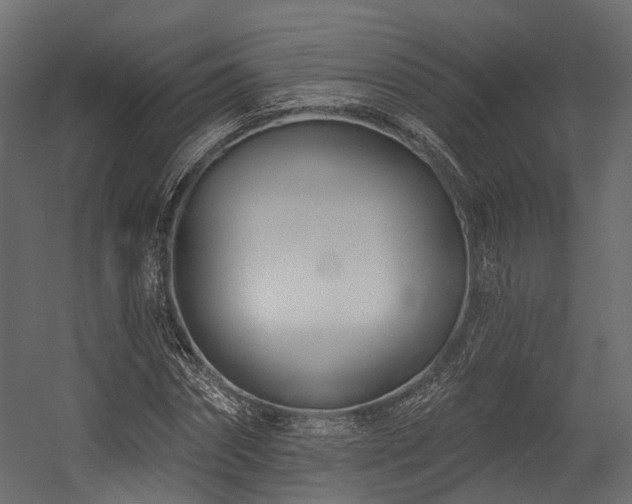 X0000054420874200507291246