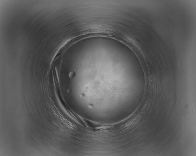 X0000054420875200507291246