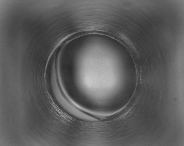 X0000054420876200507291246