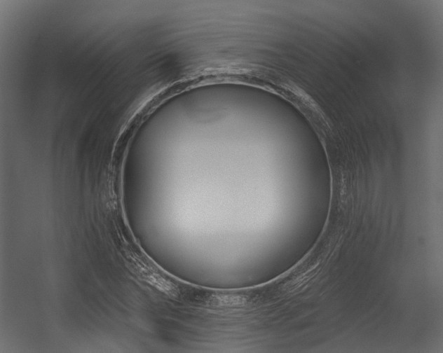 X0000054420878200507291246