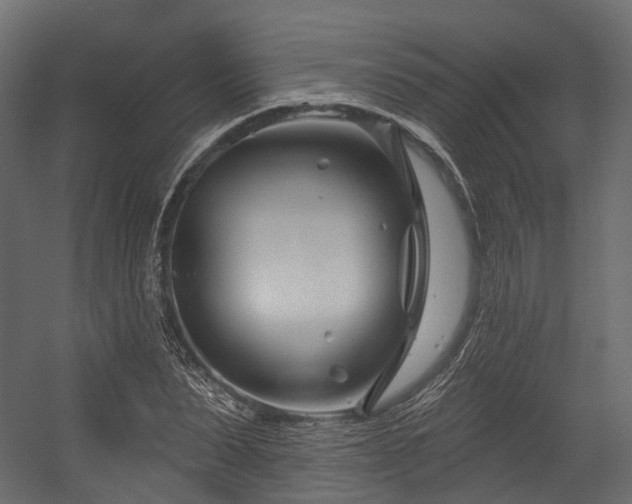 X0000054420879200507291246