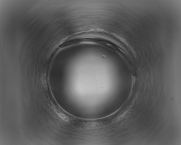 X0000054420881200507291246