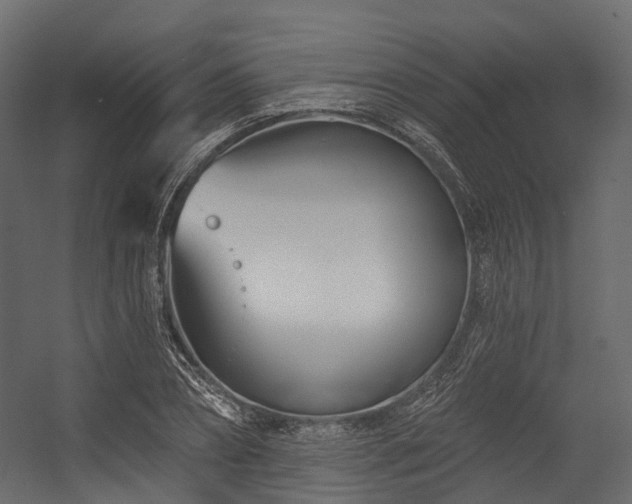 X0000054420882200507291246