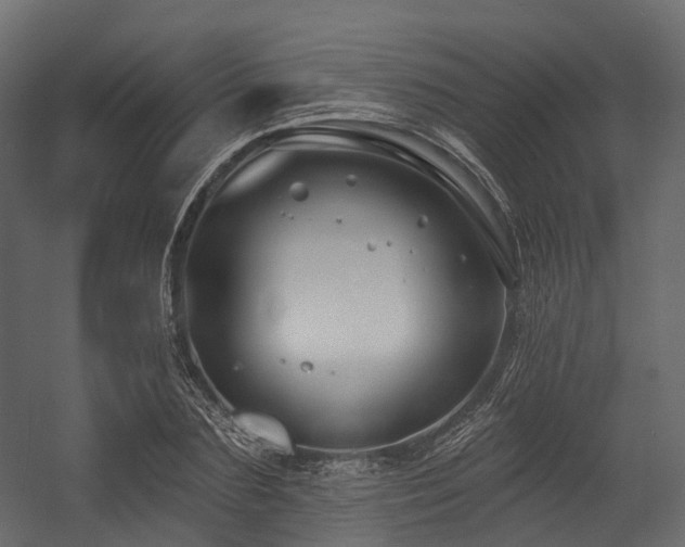 X0000054420883200507291246