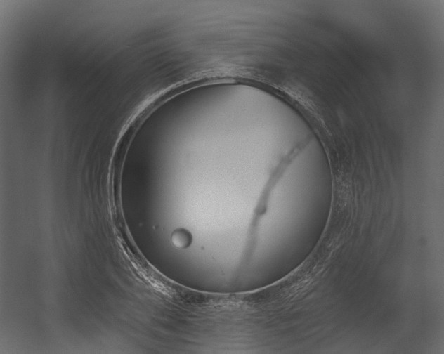 X0000054420886200507291246