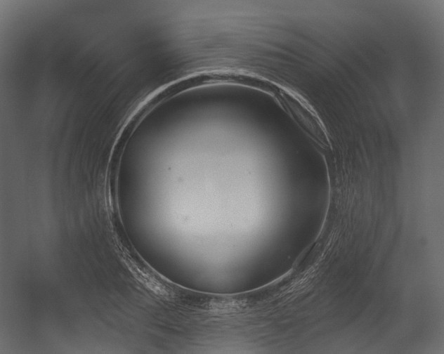 X0000054420887200507291246