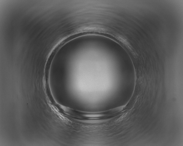 X0000054420888200507291246