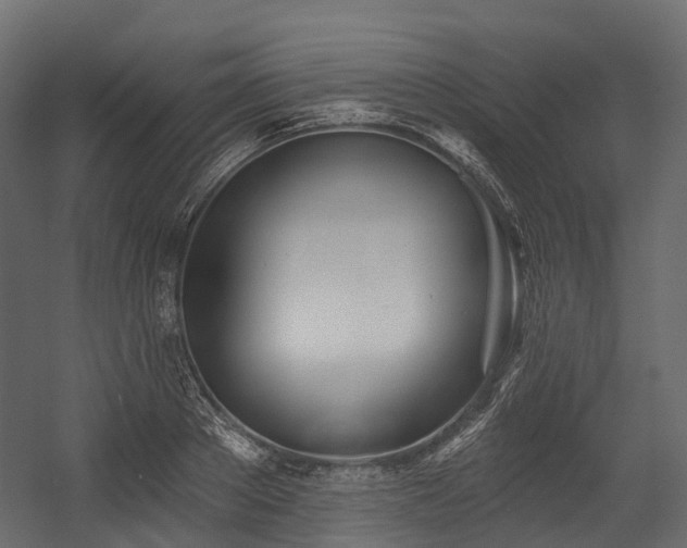 X0000054420889200507291246