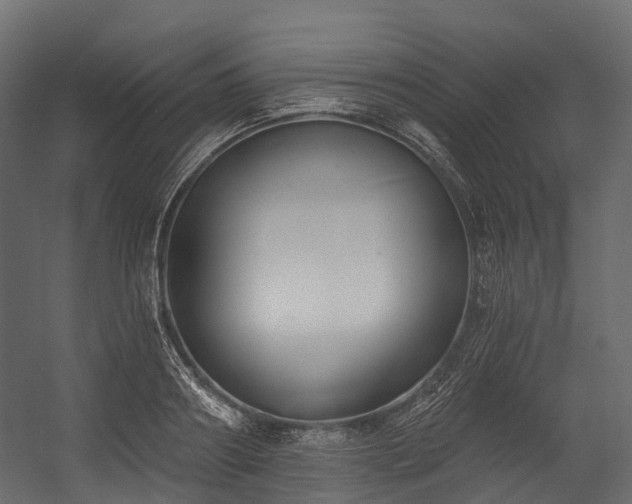 X0000054420890200507291246