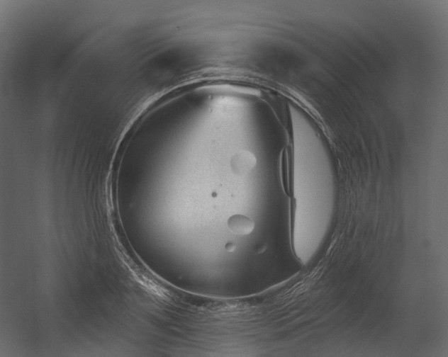 X0000054420891200507291246