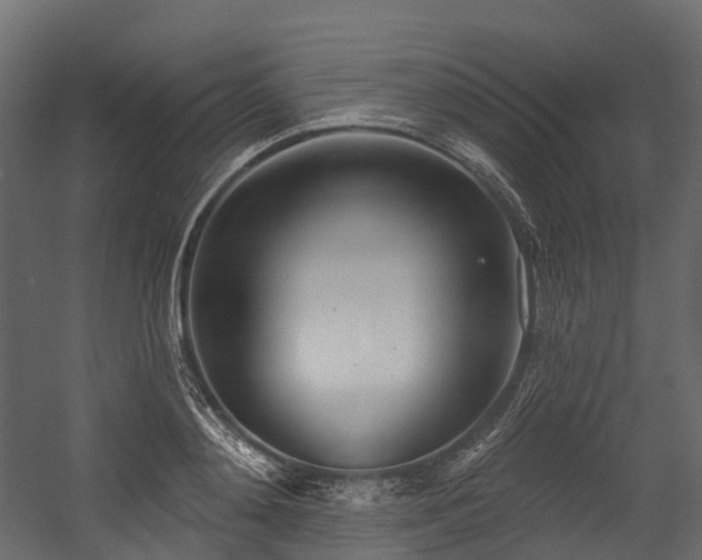 X0000054420892200507291246