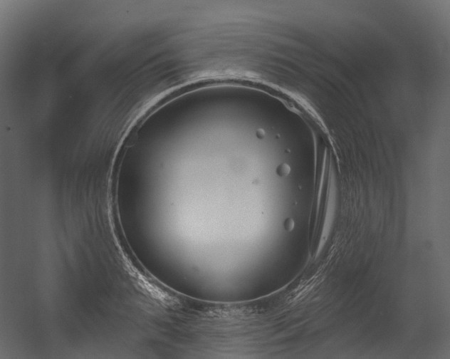 X0000054420895200507291246