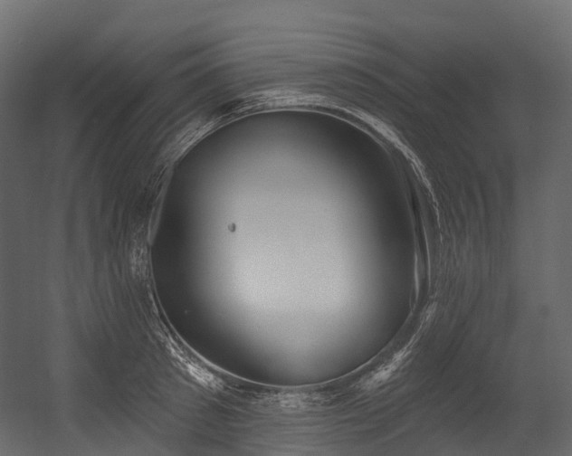 X0000054420897200507291246