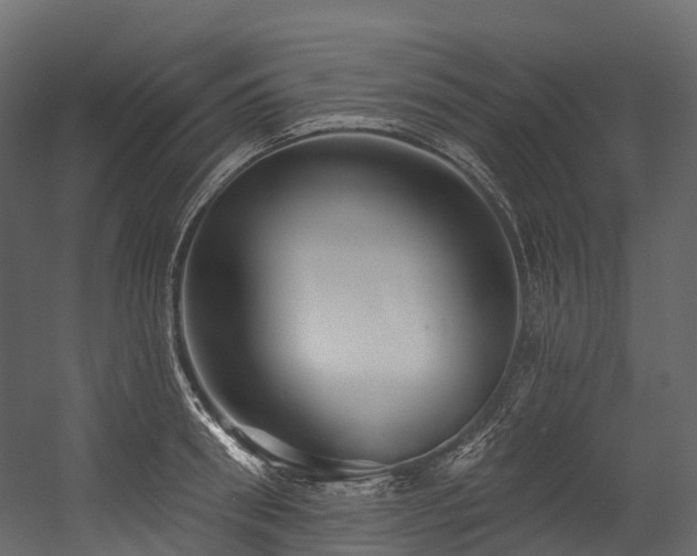 X0000054420898200507291246