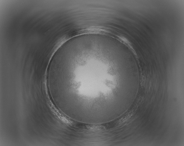 X0000054420899200507291246