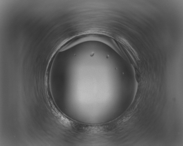 X0000054420900200507291246